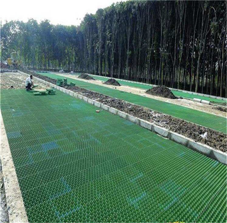 91看片在线入口 (4).jpg