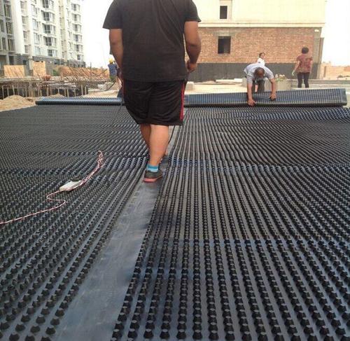 虹吸91成人看片在线