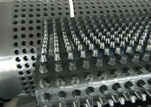 91成人看片在线